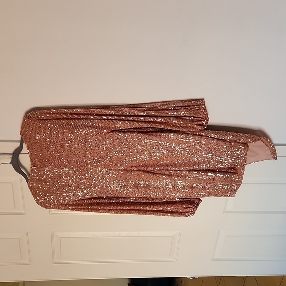 ✨️NWT HELLO MOLLY ZOE SEQUIN DRESS in Bronze XL - Picture 11 of 15